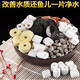 Sensen (SUNSUN) fish tank filter material ceramic ring glass ring bacterial house maifanshi respiratory ring biochemical ball 500g glass ceramic ring (6 capsules with water quality An Ding Capsules)
