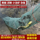 Jingpin fish and shrimp net cage, ground net cage, lobster net, ground dragon fish net cage, fishing net, fishing net cage, shrimp cage, eel cage, turtle cage, 3.4 meters, 17 sections, 10 doors + gifts (delivered today)