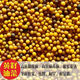 Gránulos de semillas amarillas de colza 999 de color amarillo puro para extracción de aceite, madurez temprana, alta tasa de aceite, tallos cortos, resistencia al frío, resistencia a enfermedades y resistencia al alojamiento. Semillas de colza amarillas puras 999, 1 paquete de unos 150 gramos