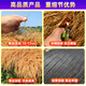 Elegant simulated thatch insulation plastic fur straw roof straw farmhouse scenic pavilion courtyard carpet style decorative fake tiles 1 meter wide, take a few meters and send a few meters / please consult customer service