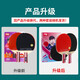 Double Happiness (DHS) four-star table tennis racket straight match set H4006 (with table tennis ball)