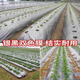 Silver and black two-color mulch film, new material, thickened insect-proof reflective mulch film, weeding film, thermal insulation agricultural mulch film, silver black 5Jin Jin equals 0.5kg 1.2 wire thick 0.6m wide 260m long
