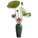 Real flower living room decoration lotus lotus dried flowers natural high-end decorative ornaments bouquet Zen light luxury wabi-sabi style simulation rod lotus set 7 with vase with patina vase A dry flower bag
