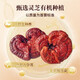 李良济【官方直售】破壁灵芝孢子粉/软胶囊 蓝帽认证营养品送礼有机种植 2盒装（1g*60袋/盒）
