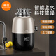 Bagan E300 high-end kitchen food waste disposer brand new InSinkE300