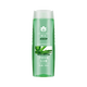 Bee Flower Aloe Vera Shampoo Hidrating Aloe Vera Té verde Hidratando y eliminando aceites para hombres y mujeres crema de champú 500ml