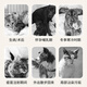 Miishiiem British Mishile Pet Dry Clean Bubbling Bubble Free Warh Acid Foam Определение дезодорации Определение вкусов и бактерий облегчает зуд 400 мл