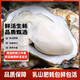 Fresh Rushan oysters, fresh oysters, 5 Jin Jin equal to 0.5 kg box, 4XL large oysters (9-14 pieces per box), net weight 5 Jin Jin, equal to 0.5 kg oysters
