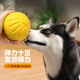 Hanhan Paradise Pet Dog Toy Bouncy Ball Bite-Resistant Dog Training Artifact Large, Medium and Small Border Collie Teddy Can't Bite Puppy Toy