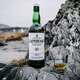 拉弗格（Laphroaig）10年威士忌 苏格兰单一麦芽威士忌酒 雪莉桶 进口洋酒 海外版 拉弗格10年700ml