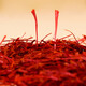 Sejila Saffron Selected Tibetan Saffron Crocus Nutritional Health Gift Box Saffron 10g Gift Box