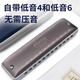 Loch Sound 12 Loch Gesamtskala Blues Harmonica EZ12 Anfänger Tuning Blues harmonica Erwachsener Performance Grad A-Tuning Gold (kein Notwendigkeit, den Klang zu drücken, und mit Bass 46 ausgestattet)