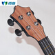 Dahuixia Kids Gitarre Ukulele 23 Zoll Männer, Studentinnen und Kinder Anfänger Musikinstrument Little Uklili Ukul 23 Zoll grünes Wasser 21 Zoll