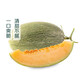 North latitude 23 Xizhou honeydew melon about 1.3kg