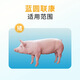Male herding pig ring blue ear disease, dermatitis, pimples, eye edema, purification of blue ear blue ear, blue ear, non-swine fever feed additive, blue ear, blue ear health*3