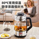 Wiltal allemand Health Tapot Small Teapot Type-Type Office Electric Kettle Isolation grande capacité théière tout-en-un théière 1l