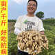 Peanut seed original species Academy of Agricultural Sciences new variety high-yielding peanut seeds 1000 Jin Jin is equal to 0.5 kilograms Wang National Suitable Flower Breeding 60 Large Fruits 1000 Jin Jin is equal to 0.5 kilograms 500 grams of King Peanut Original Seeds with Shells