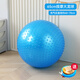 LZJV Early Education Dragon Ball Children's Vestibular Sensory Training Equipment Kindergarten Balance Touch Yoga Home Massage Toy Particle Dragon Ball (Blue 65cm)