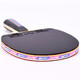 Butterfly Raqueta de tenis de 7 estrellas Raqueta Recta [Glue inverso de doble cara] Placa base de carbono Raqueta de competencia profesional 702 incluyendo set de disparos