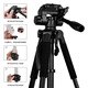 Banmeiluo suitable for fishing lamp holder camera tripod F360T telescope tripod live broadcast stand F13T black iron F-3520T black iron pipe 1.42 meters + color box + pull