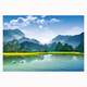 青山绿水油菜花客厅护眼绿色山水风景墙贴画自粘装饰挂画油画壁纸 dashan 1509 80*55厘米 PP背胶/裱膜较薄/背面撕掉可贴
