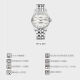 Titoni Men's Watch Swiss Watch Universe Serie Klassische Business Automatische mechanische Herren Uhr 797 S-695 Silberstreifennagel