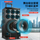 Konka square dance audio three-way outdoor mobile trolley performance singing karaoke wooden speaker subwoofer home portable Bluetooth high power high volume with wireless microphone 11 speakers (no microphone)