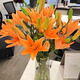 Jimmy Deer rare orange lily flowers, 10 orange lilies + get 2 free, fresh cut bouquets from Yunnan base sent directly from the source