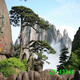 
Internet celebrity live background cloth 3D three-dimensional landscape painting movable high-definition live room outdoor interior background wall ZP-13556 2.5 meters wide - 2.5 meters high (hook type)