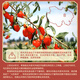 Yixitang Qinghai Nutrition Hall Special-grade Red Wolfberry 260g No-sulphur-free smoked first stubble free wash and gift to make tea
