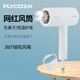 Flyco FH6618 6232 Sécheur de cheveux haute puissance 2000W Taille d'air chaud et froid Ion Ion Home Sècherie noire 6231 2000W