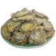Panax notoginseng slices 30 heads Yunnan Wenshan genuine Panax notoginseng Yunnan Panax notoginseng powder super fine Panax notoginseng slices 250g