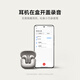小米（MI）Xiaomi Buds 5【政府补贴】降噪耳机 半入耳式蓝牙耳机 适用于安卓苹果手机（月影黑）
