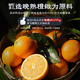 Ganguo Kang Citrus Brandy Twilight Orange Weißwein Brandy 40-Grad Orangengeschmack Brandy Destilliertes Alkohol 500 ml 6 Flaschen ohne Geschenkbox