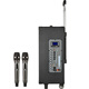 European and American sound 263 outdoor audio karaoke special all-in-one machine with sound card professional three-way singing high-power portable square dance Bluetooth trolley speaker with wireless microphone 12 inches 12 inches/263+2 microphones + spree