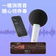 Newmine MC501 wireless microphone, karaoke microphone and audio integrated sound card, mobile phone Bluetooth karaoke artifact, Little Bee amplifier, pink