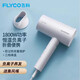FLYCO hair dryer foldable blower negative ion hair care student dormitory high-power home barber shop hotel hair dryer FH6276 1800W foldable with negative ions