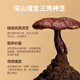 敖东灵芝原浆100g袋浓缩口服液有机产地滋补营养品节日送老人长辈礼物