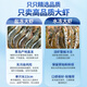 Hunyuan Beast Shrimp Domestic Qingdao Freshly Caught Prawn Extra Large Green Prawn Frozen Sea Shrimp Fresh Shrimp White Shrimp Qingdao Salt Frozen Prawn 3-4Jin Jin equal to 0.5kg (net weight) 15-18cm (recommended by the store manager)
