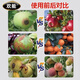 Huaneng Qingman Garden Clearing Agent Fruit Tree Clearing Garden disinfecting Spirit Greenhouse Clearing Garden Sterilizing Insecticide Egg Killing Microbial Inoculant
