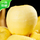 Jingxiansheng Shandong Golden Venus Apple Net weight 3Jin Jin is equal to 0.5kg Single fruit 160g+ Fresh in season Straight from the source