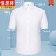 
Hengyuanxiang [Bamboo Fiber] Men's Short Sleeve Shirt 2024 Summer New Easy-to-Take Shirt Professional Formal Top [Sales 500+]DX6624 38
