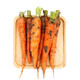 About 500g pureed carrots