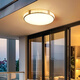 Durable door ceiling light foyer light house light eaves balcony outdoor balcony light outdoor waterproof door new 6626-50 cm-three color light change-42W