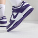 耐克（NIKE）男鞋2025夏季新款运动鞋Duck Low舒适时尚复古休闲鞋轻便低帮板鞋 DD1391-104 43