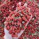 
Qinyutang sulfur-free wolfberry [1421 people praised] Xinjiang Jinghe wolfberry 500g natural drying without addition 500g