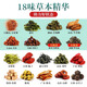 三绛茶 光岳楼汉方降三茶玉米须桑叶茶蒲公英青钱柳绞股蓝罗布麻 光岳楼益肝茶2盒(600克 60小包)