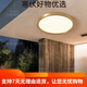 JPHZNB户外吸顶灯别墅大门口门前灯室外过道阳台灯防蚊虫庭 X3893-500/方形
