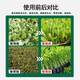 Special foliar fertilizer for nursery, insect-proof, strong pole, shortening cycle, nutritional balance, amino acid fertilizer, suspended silicon, dual-source amino acid suspended silicon zinc, 2 bottles
