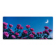 
Three-color cat fresh spring flower mouse mat for girls with super large workstation computer mat wrist guard green protection 14053 roses under the sunset 60 cm x 30 cm x 3 mm